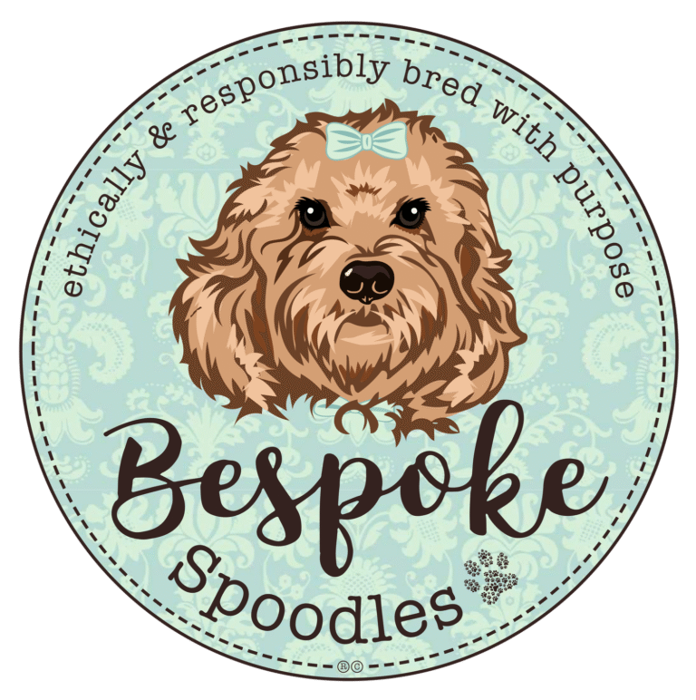 Bespoke Spoodles